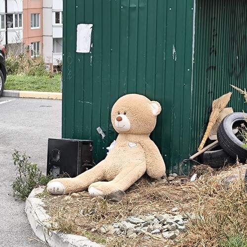 Photo #12891057