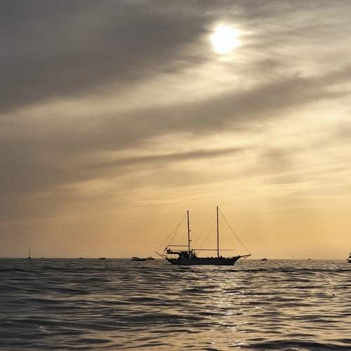 Photo #12891275