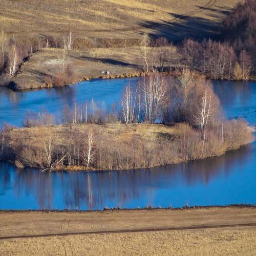 Photo #12891519