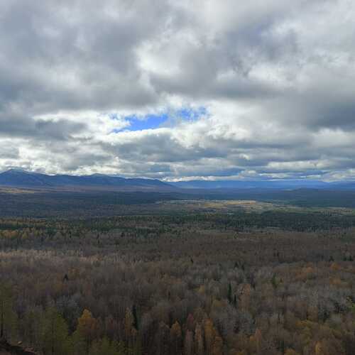 Photo #12891545