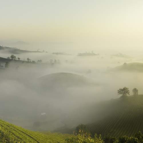 Above the Clouds
