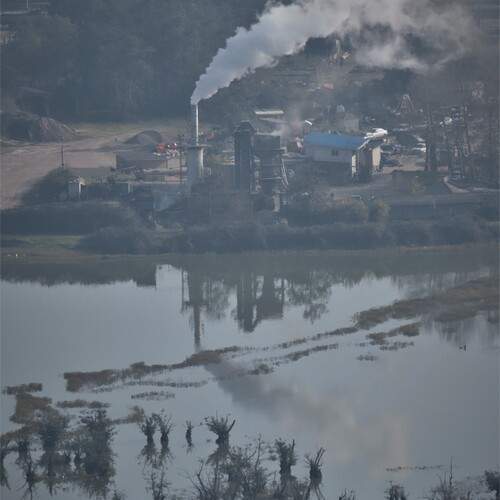 Photo #12891920