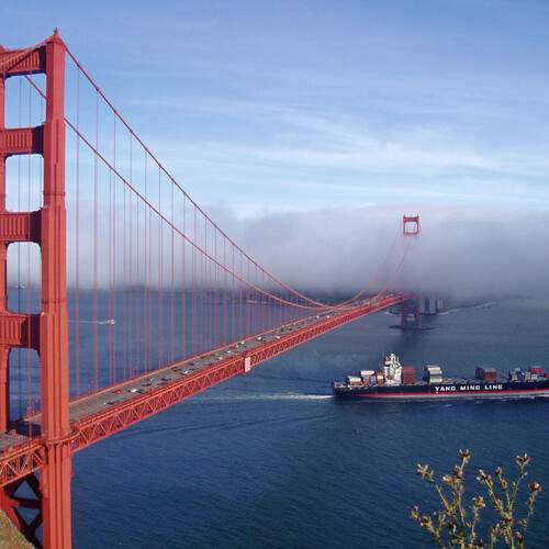 Photo #12892680