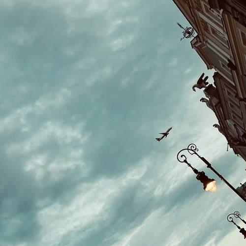 Photo #12892714