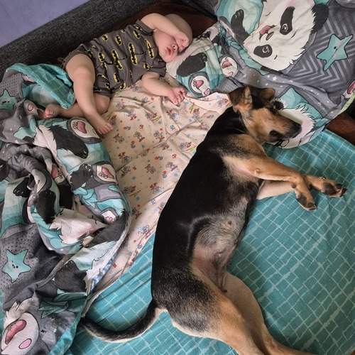 Photo #12892722