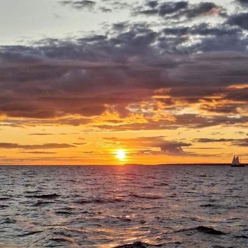 Photo #12892775