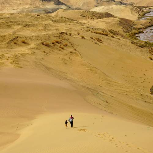 Photo #12892968