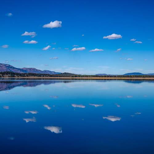 Photo #12892978