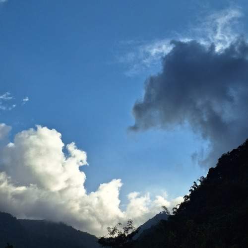 Photo #12892990