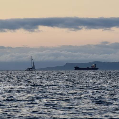 Photo #12893028