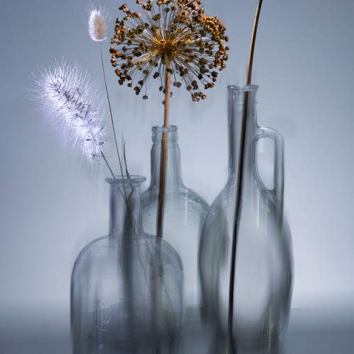 Photo #12893189