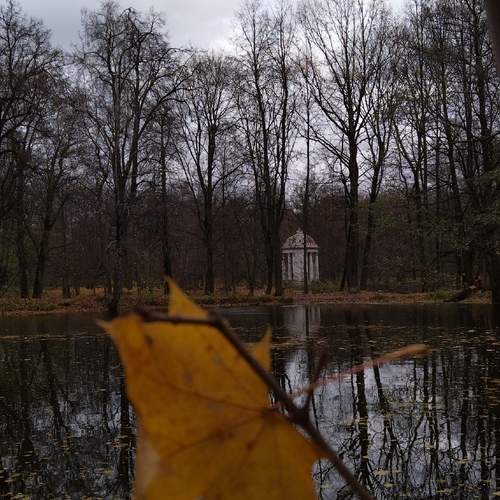 Photo #12893314