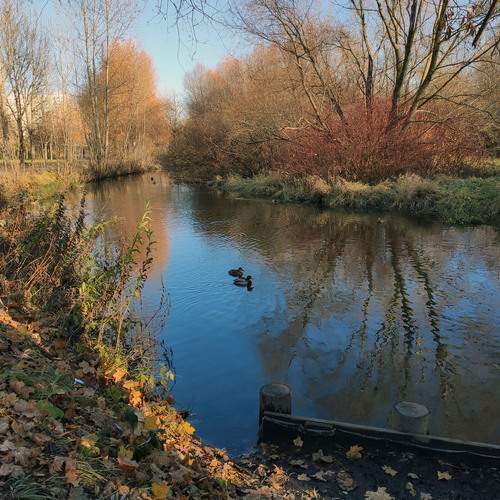 Photo #12893390