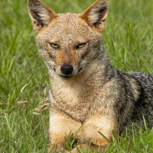 Photo #12893953