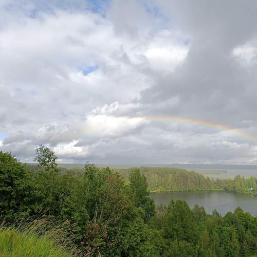Photo #12894023
