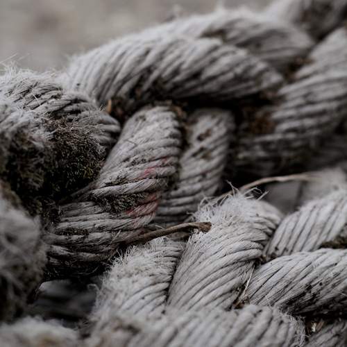 Photo #12894049
