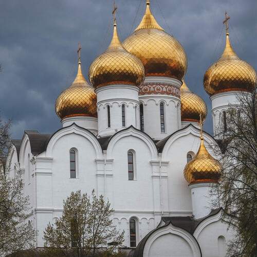 Photo #12894064