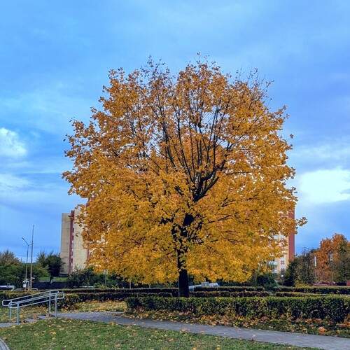 Photo #12894146