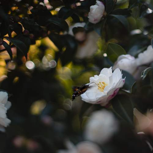 Photo #12894486
