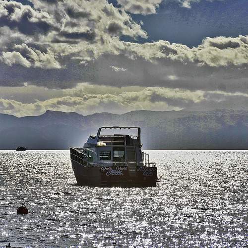 Photo #12894510