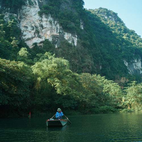 Photo #12894533