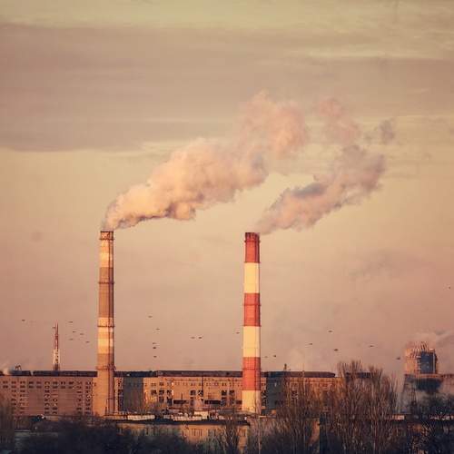 Photo #12894569
