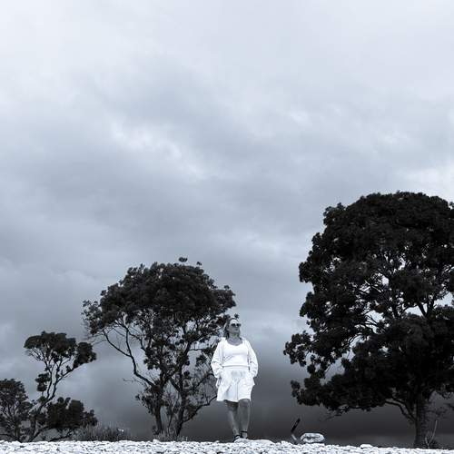 Photo #12894693