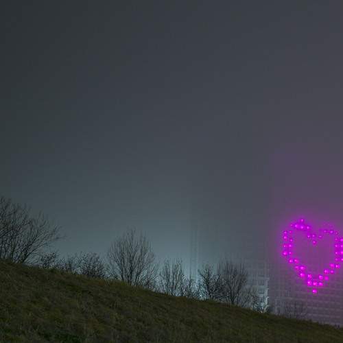 Photo #12894772