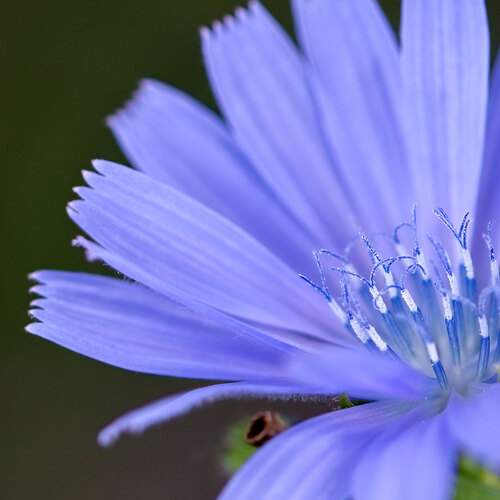 Photo #12895127