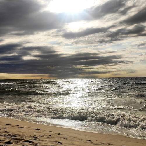 Photo #12895347