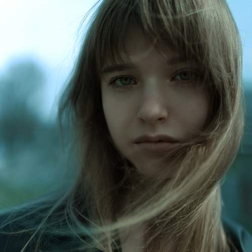 Photo #12895494