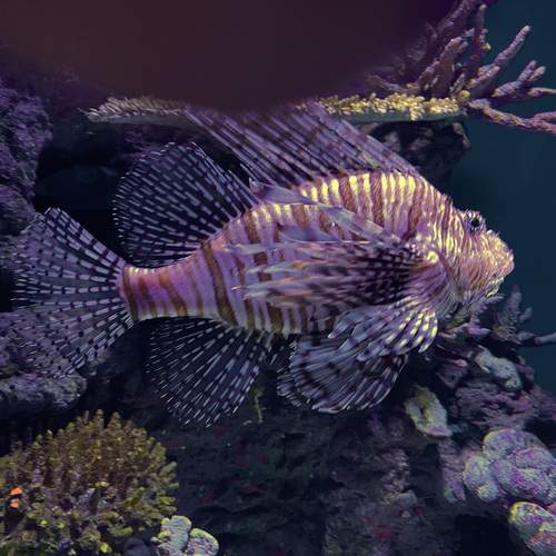 Photo #12895690