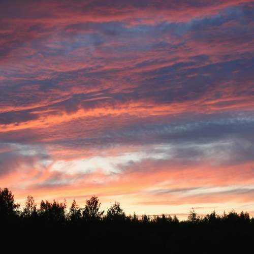 Photo #12895745