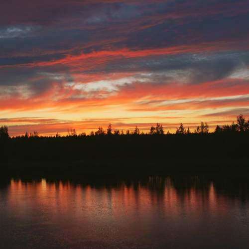 Photo #12895748