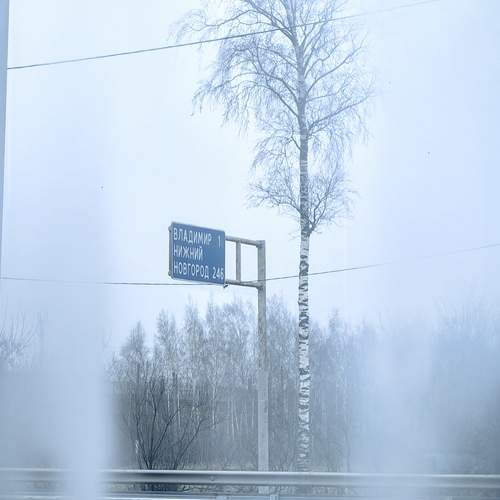 Photo #12895825