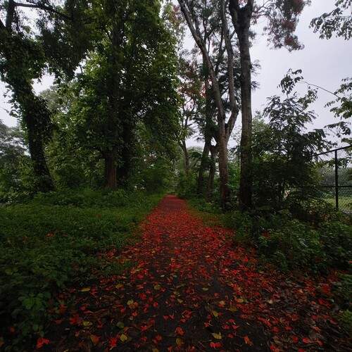 Photo #12895927