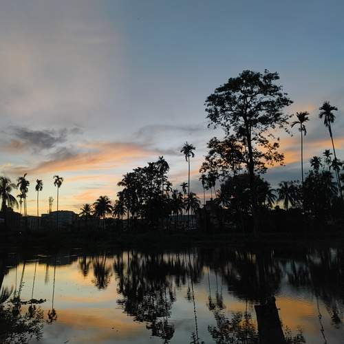 Photo #12895928