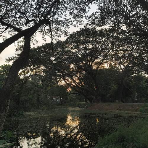 Photo #12895931