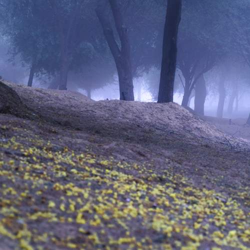 Photo #12895962