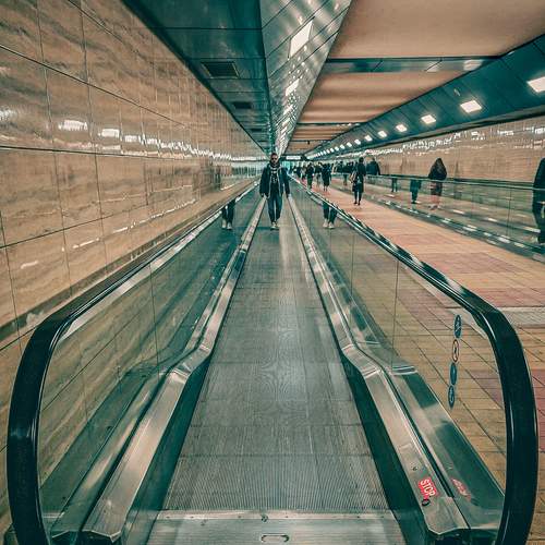 Photo #12896281