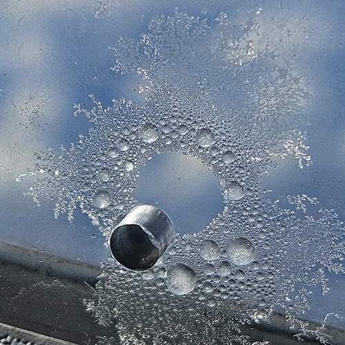 Photo #12896320
