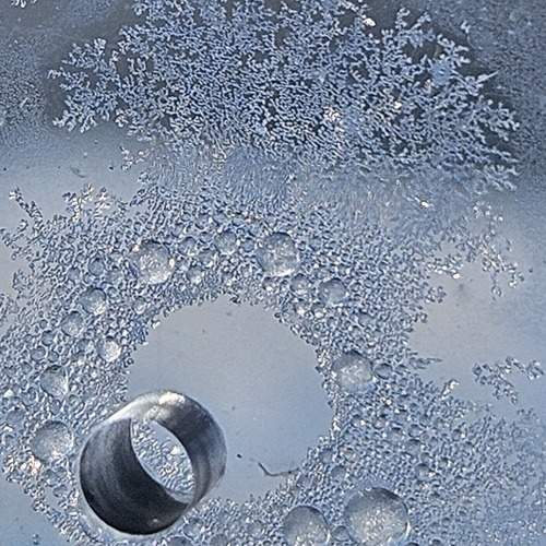 Photo #12896325