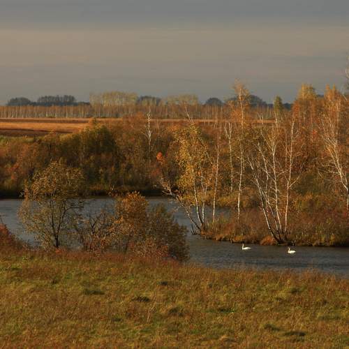 Photo #12896350