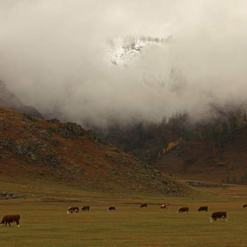 Photo #12896363