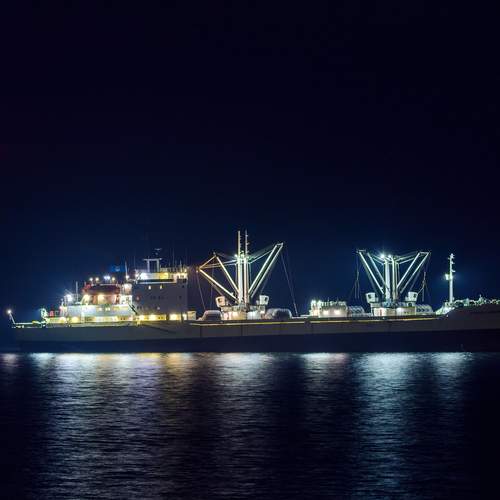 Ночной странник Амурского залива