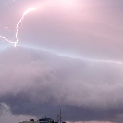 Photo #12896701