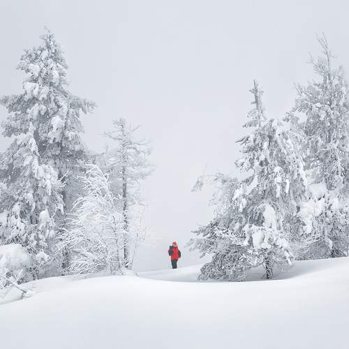 Фотография #12897024