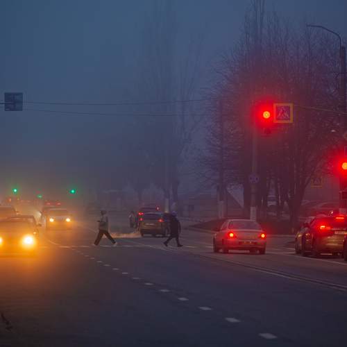 Photo #12897116
