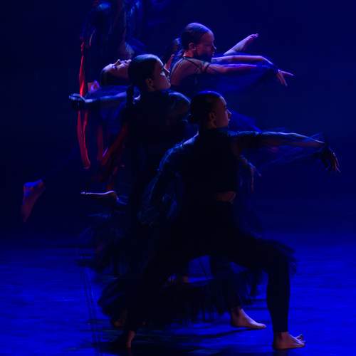 Photo #12897569