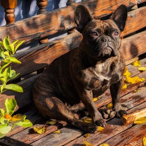 Photo #12897616